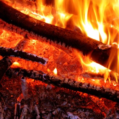 firewood-2022-08-26-13-15-42-utc